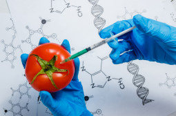 What Skills should a Food Scientist Have