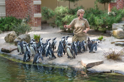 What Skills should a Wildlife Biologist Have